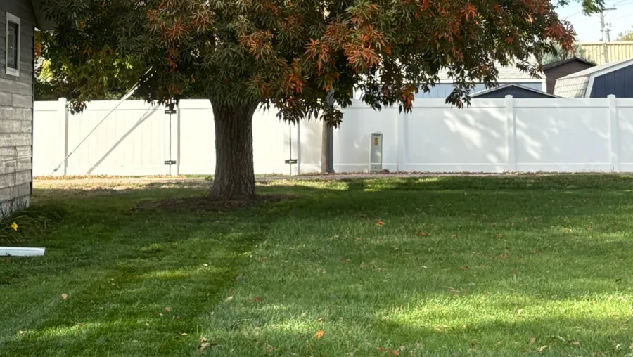 lawn maintenance services